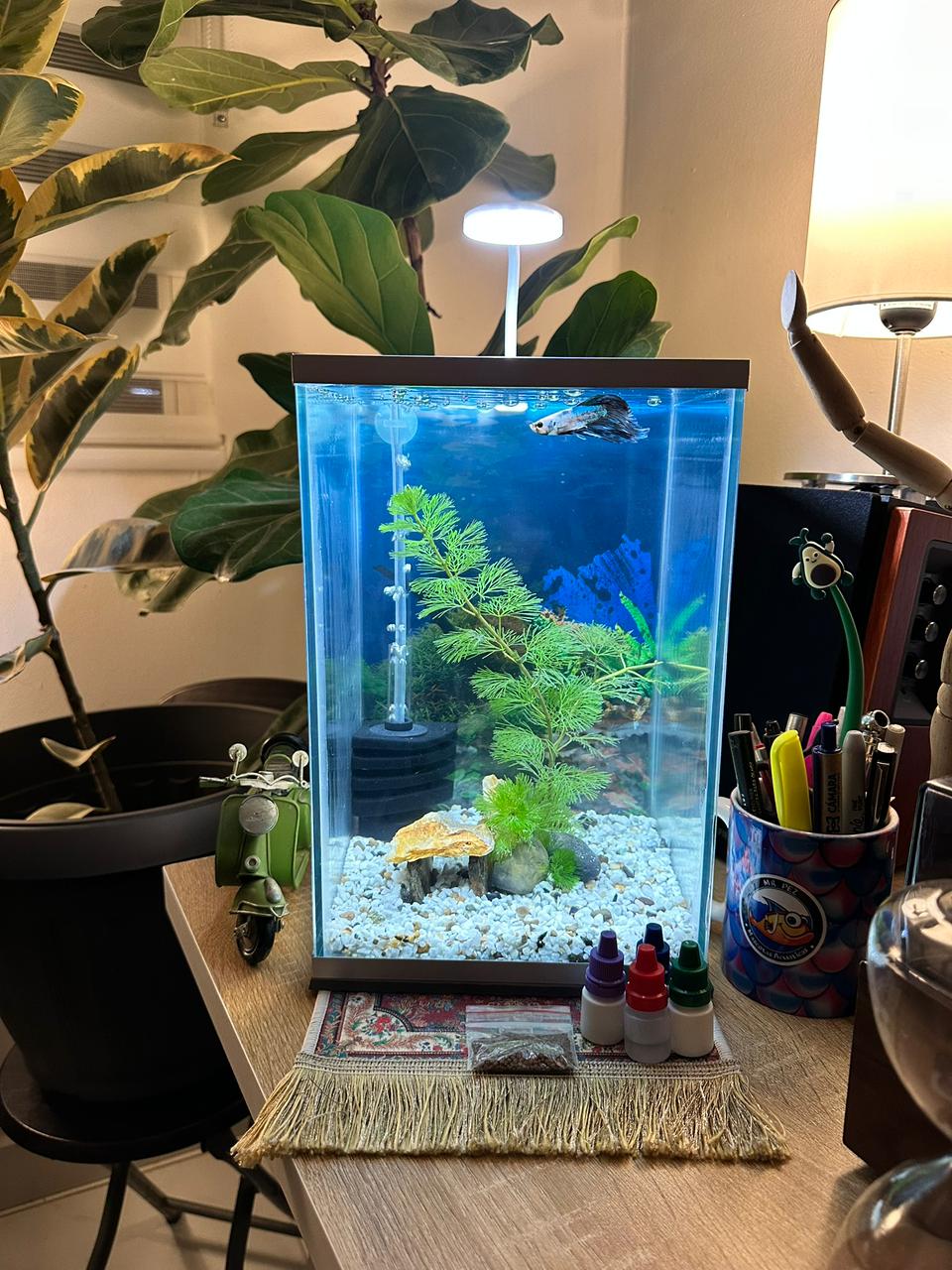 Kit Acuario Completo E0