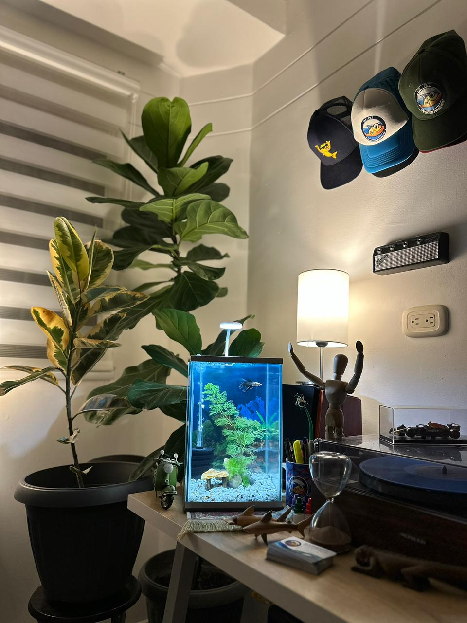 Kit Acuario Completo E0