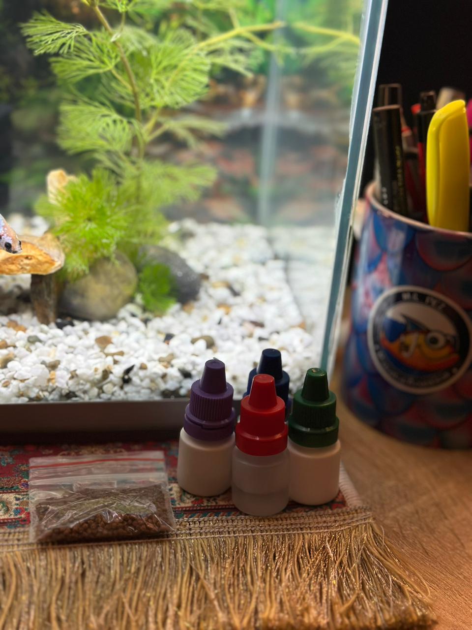 Kit Acuario Completo E0