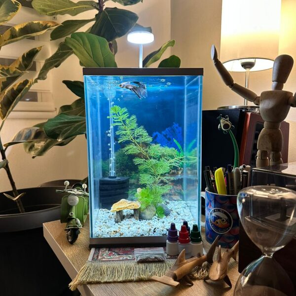 Kit Acuario Completo E0