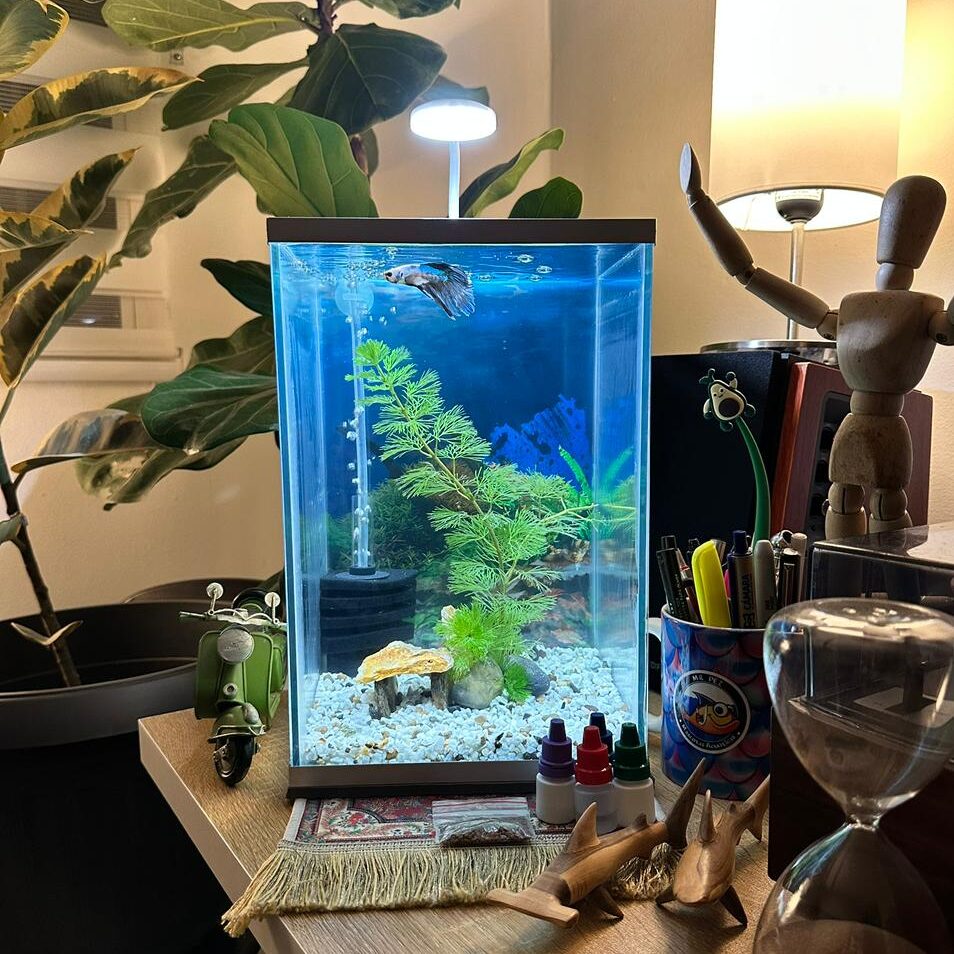 Kit Acuario Completo E0