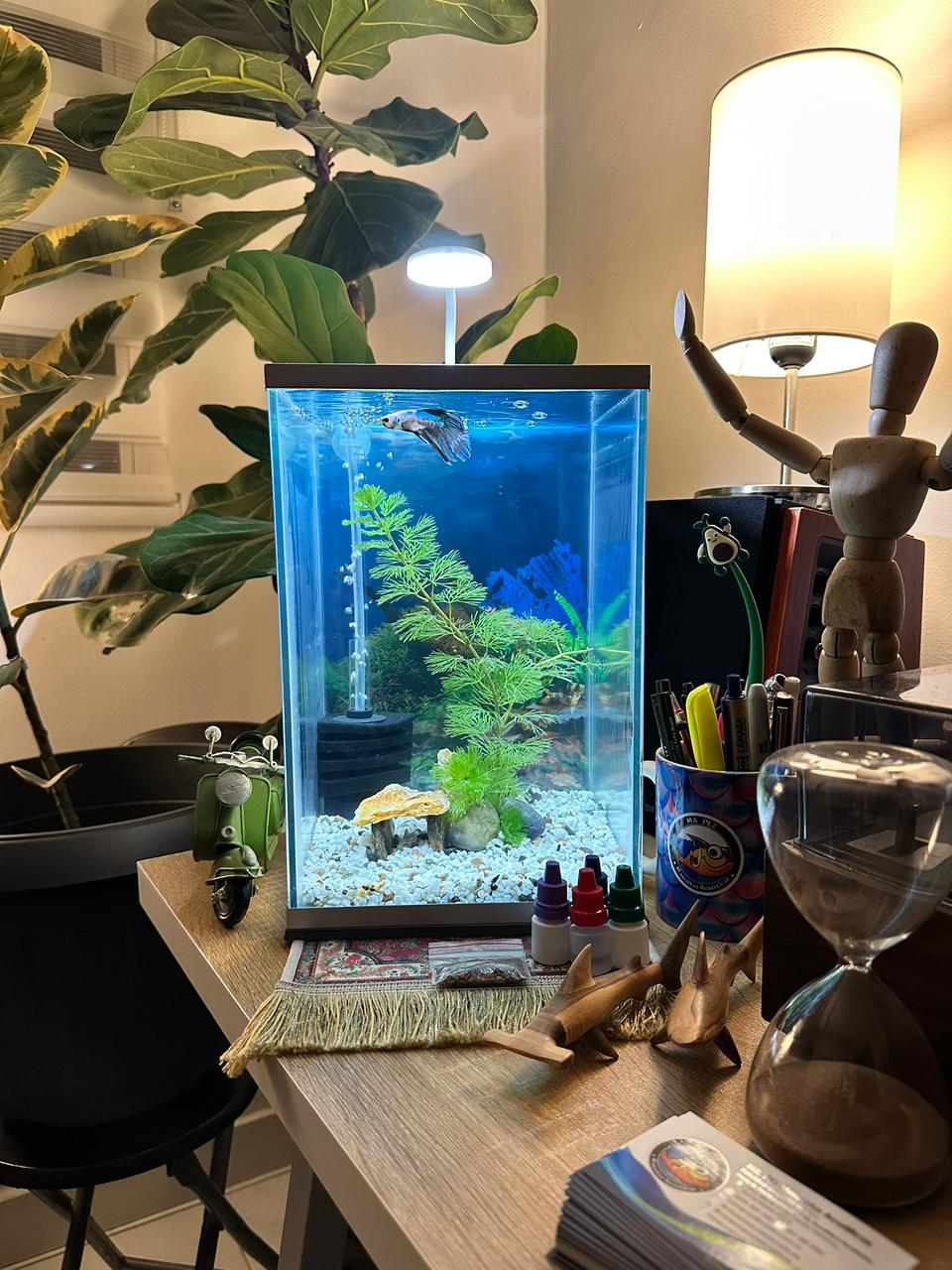 Kit Acuario Completo E0