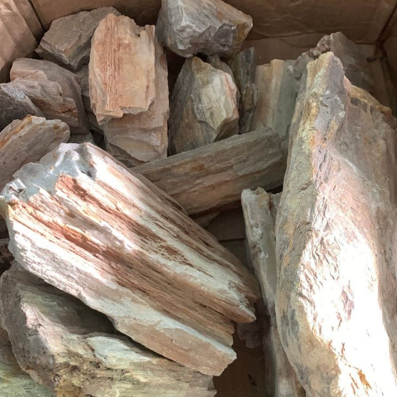 Madera Fósil x Kilo