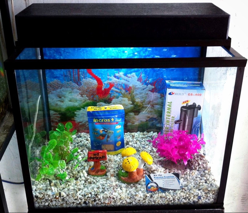 Kit Acuario Completo E3