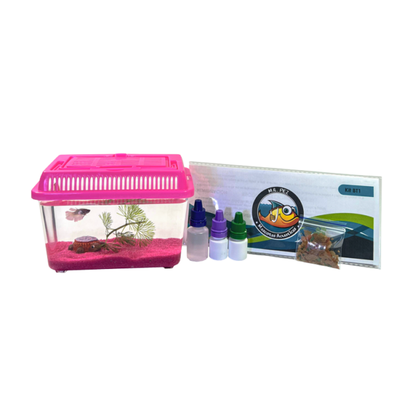 Kit BT1 Fucsia Pecera Completa tipo Bettera