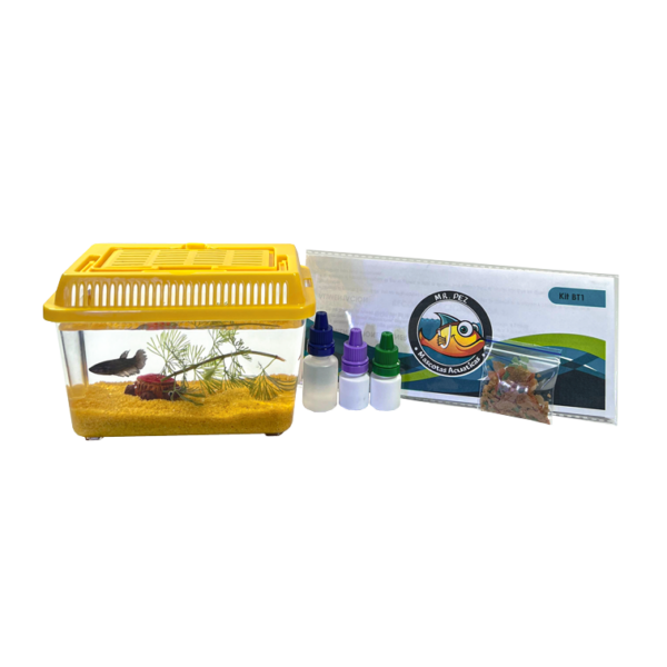 Kit BT1 Amarillo Pecera Completa tipo Bettera