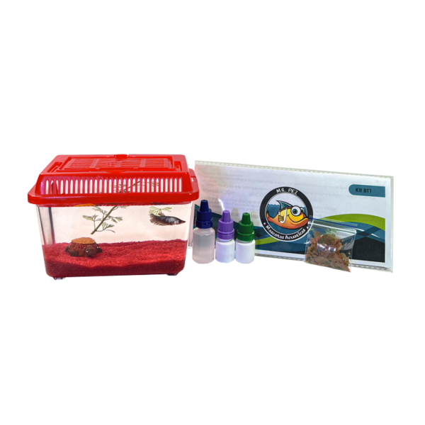 Kit BT1 Rojo Pecera Completa tipo Bettera