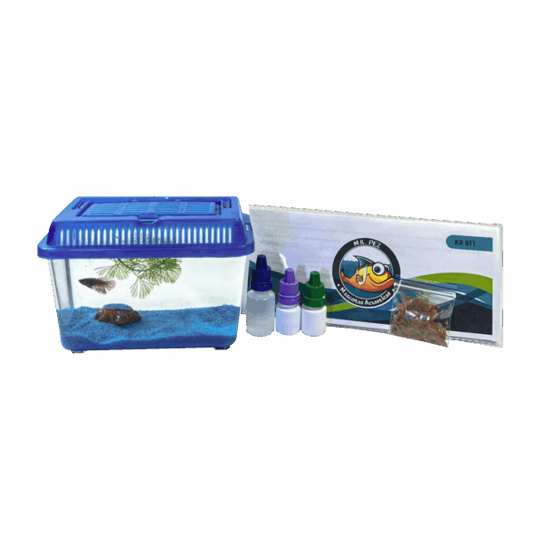 BT1 BETTERA PLASTICA PEQUEÑA CON TAPA