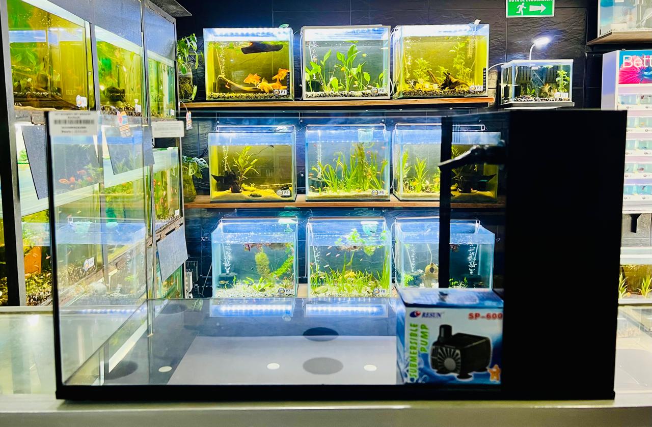 Kit Acuario AQUA-60 / Importado