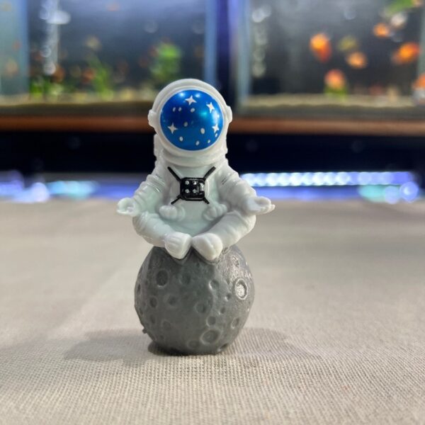 Astronauta PVC