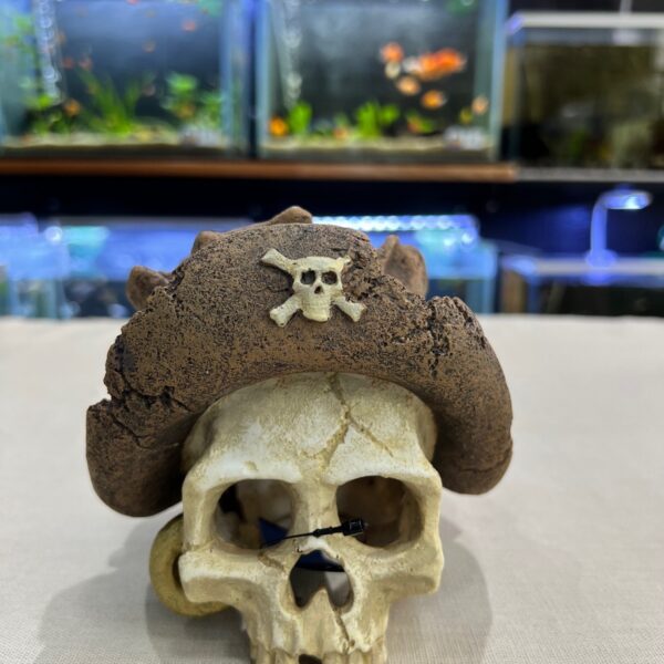 Calavera Pirata con Sombrero