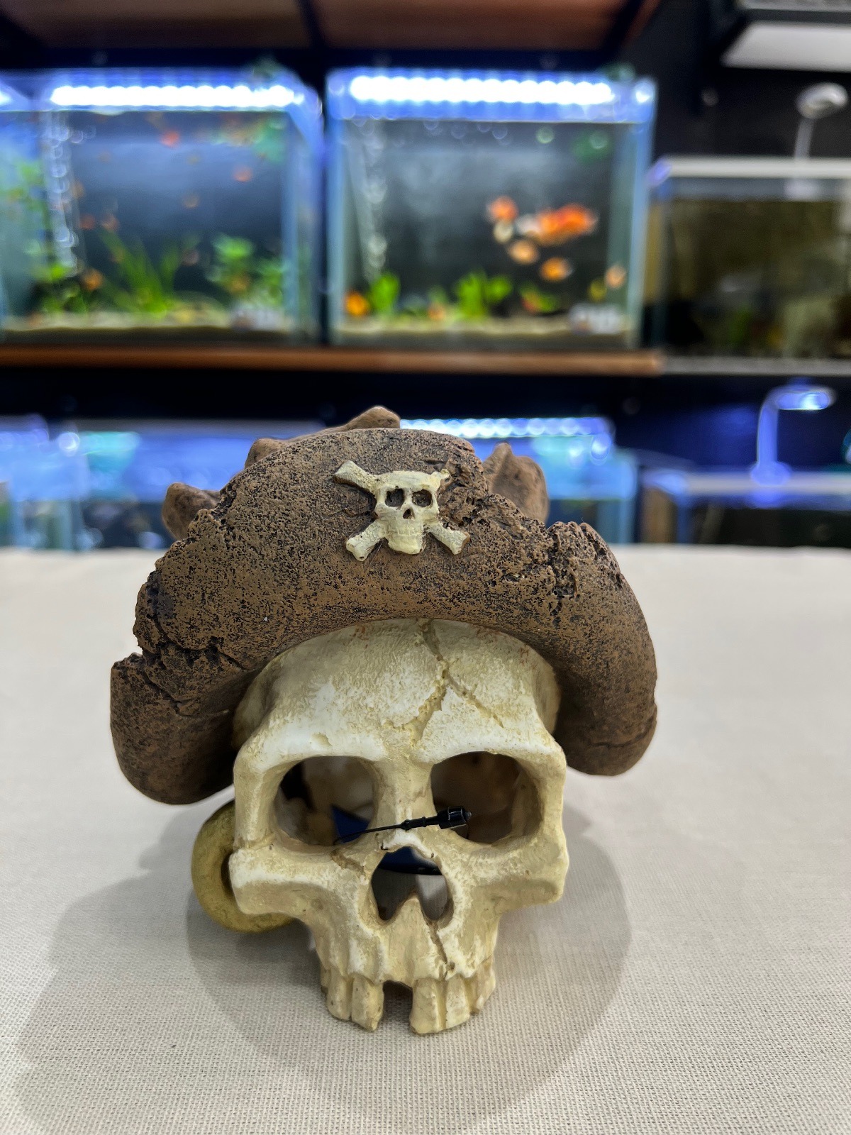 Calavera Pirata con Sombrero
