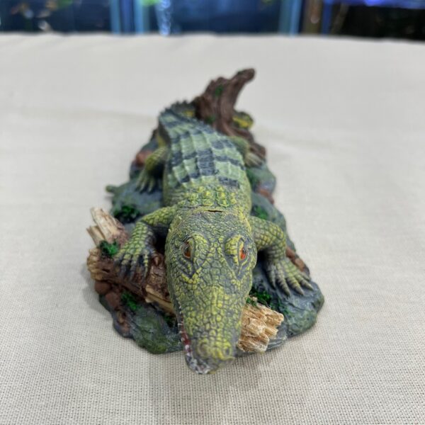 Cocodrilo Tronco