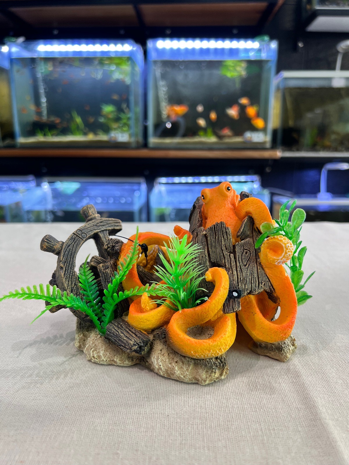 Pulpo Ruinas