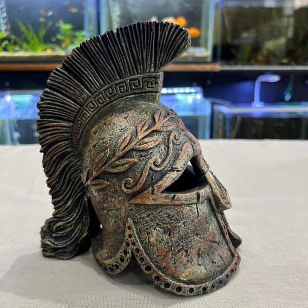 Casco Galdiador